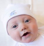 Animal Safari Gift Set - Egyptian Cotton Knit