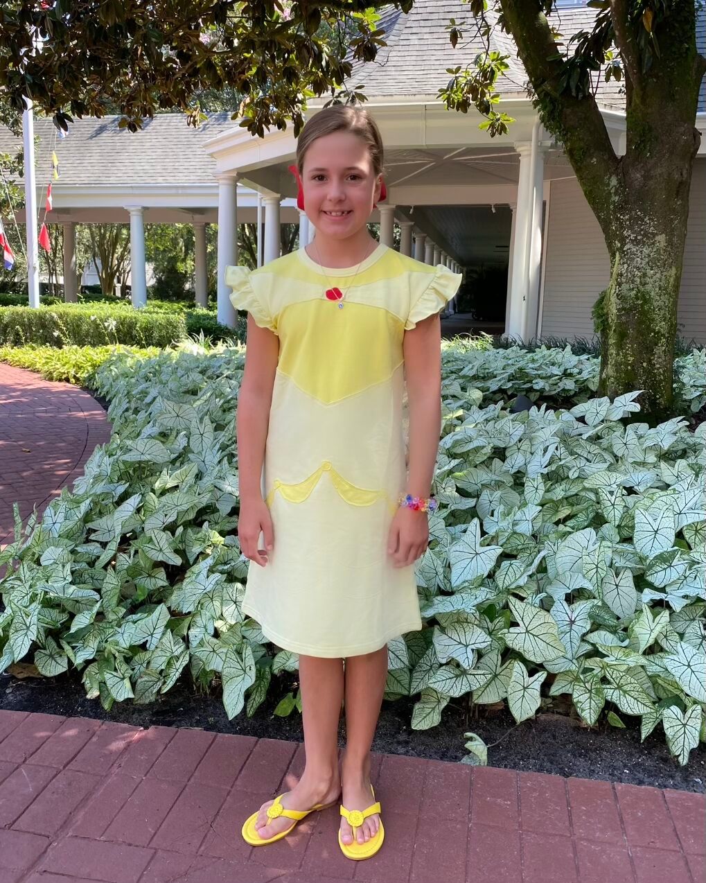 Princess Playtime: Rose Dress