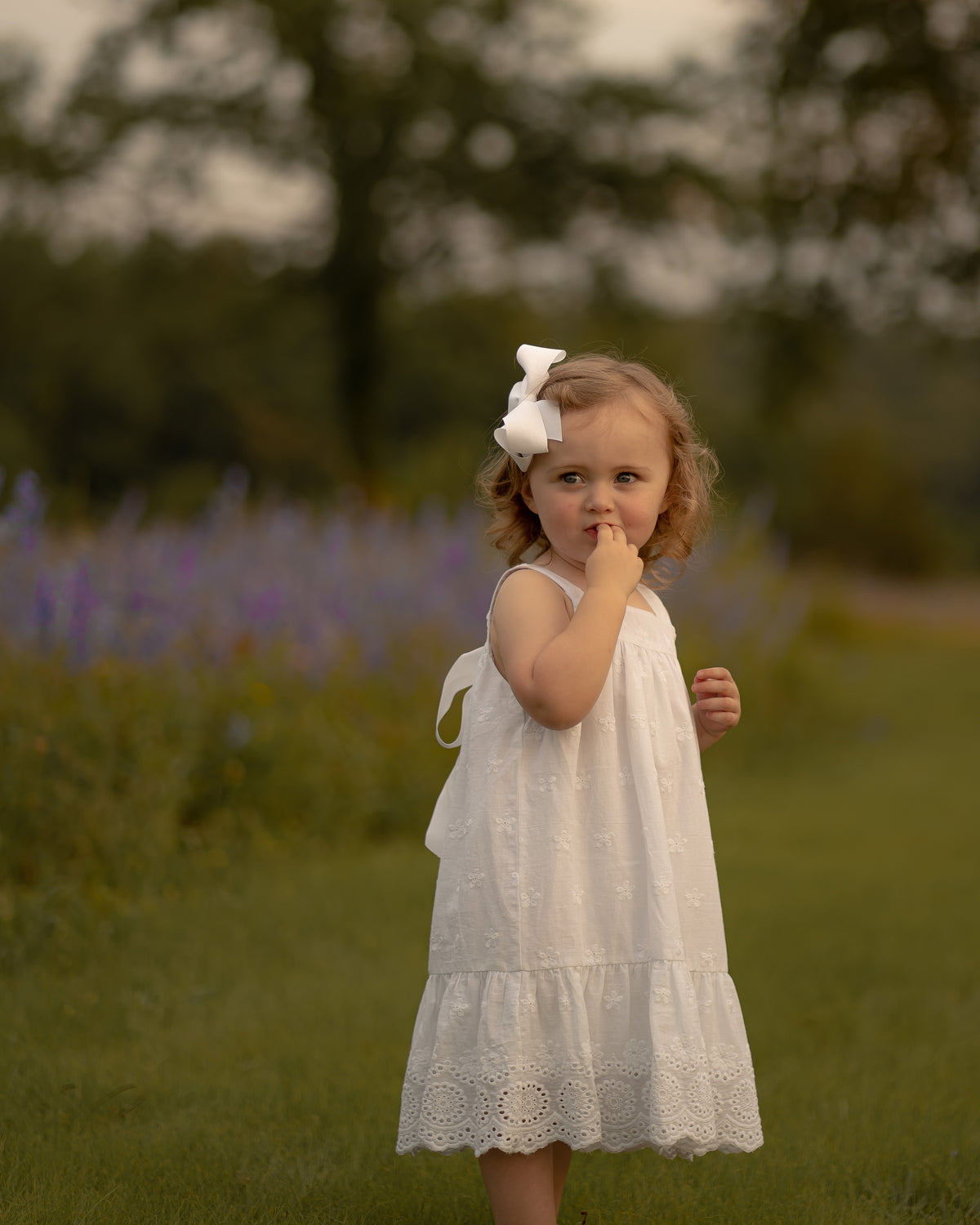 Eileen Eyelet: Sundress