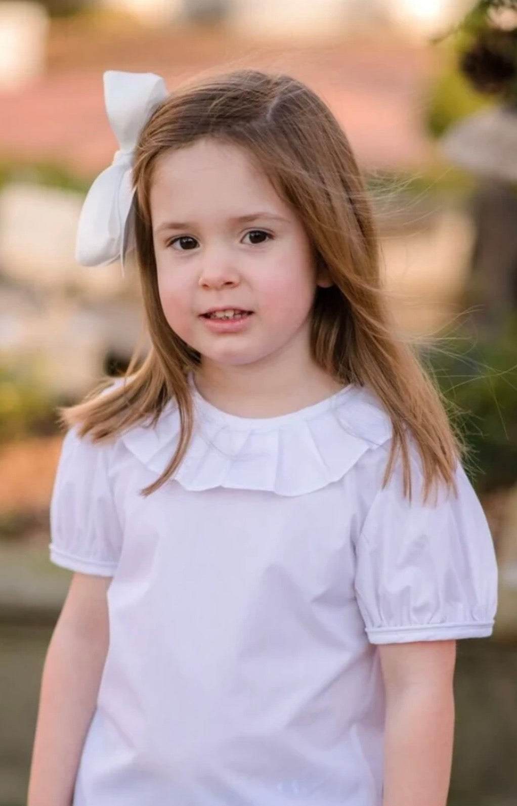 Pleated Collar Blouse