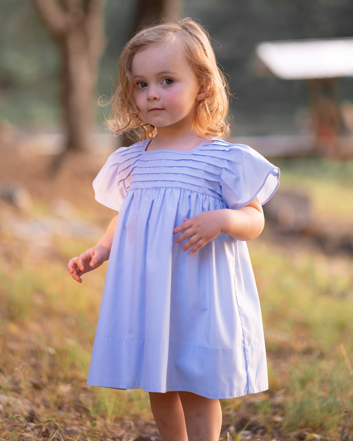 Priscilla Pleated Dress: Blue