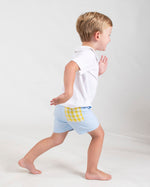 Alexander Short in Blue with Yellow Gingham Seersucker Pocket